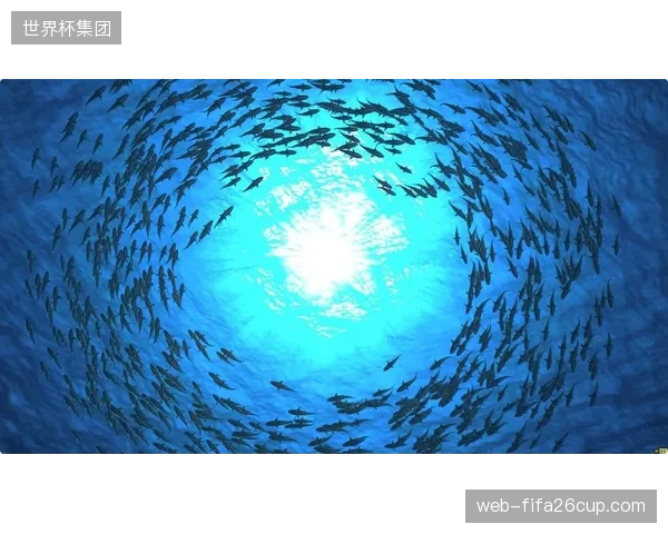 超高清HDR制播常态化 推动画质标准全面升级